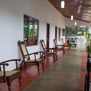 udawatta-kele.kandyhotelsnow.com/